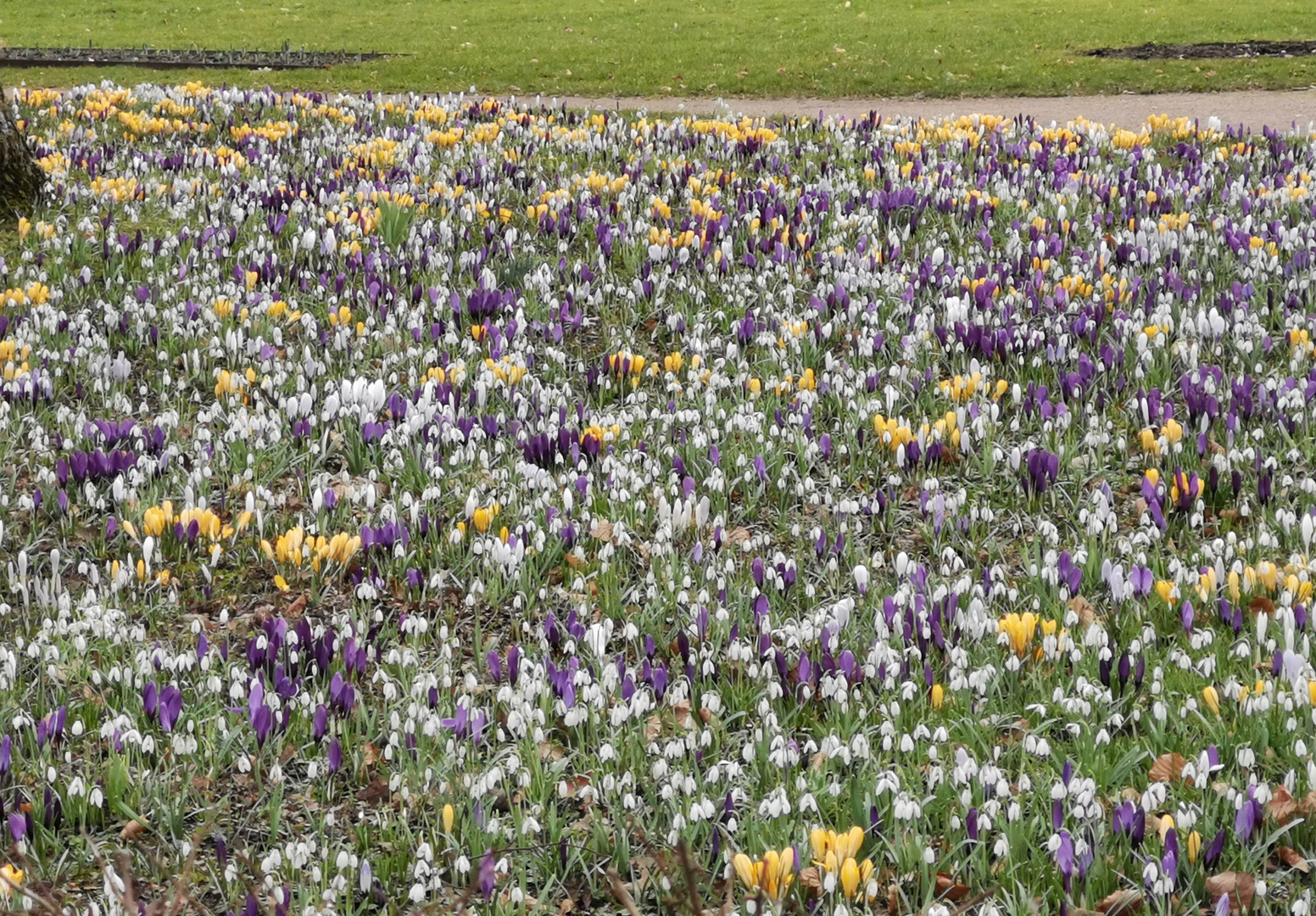 Vor-Frühling im Park... 