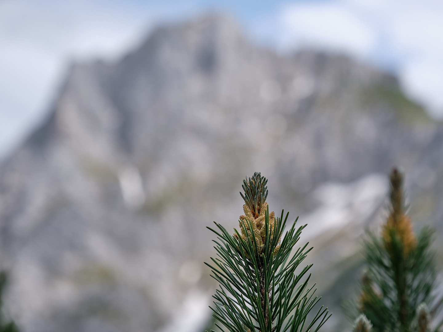 Vor großer Kulisse