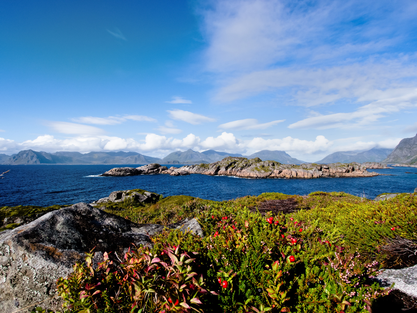 vor Henningsvaer auf den Lofoten