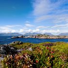 vor Henningsvaer auf den Lofoten