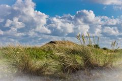 vor, hinter und über der Düne - Maasholm/Ostsee