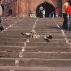 Vor Indiens größter Moschee in Delhi