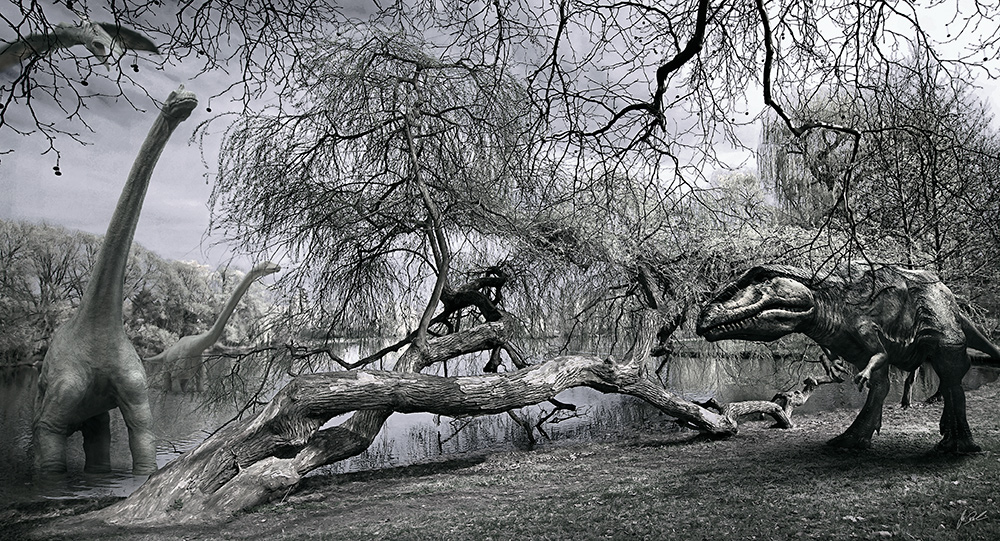 Vor laanger Zeit am Berliner Obersee