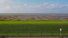 (Vor-) Land unter in Cuxhaven-Duhnen (Dünenweg) am 23.09.21 gegen 17:00