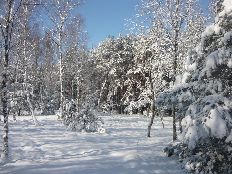 Vor lange, lange Zeit, es hat geschneit :)