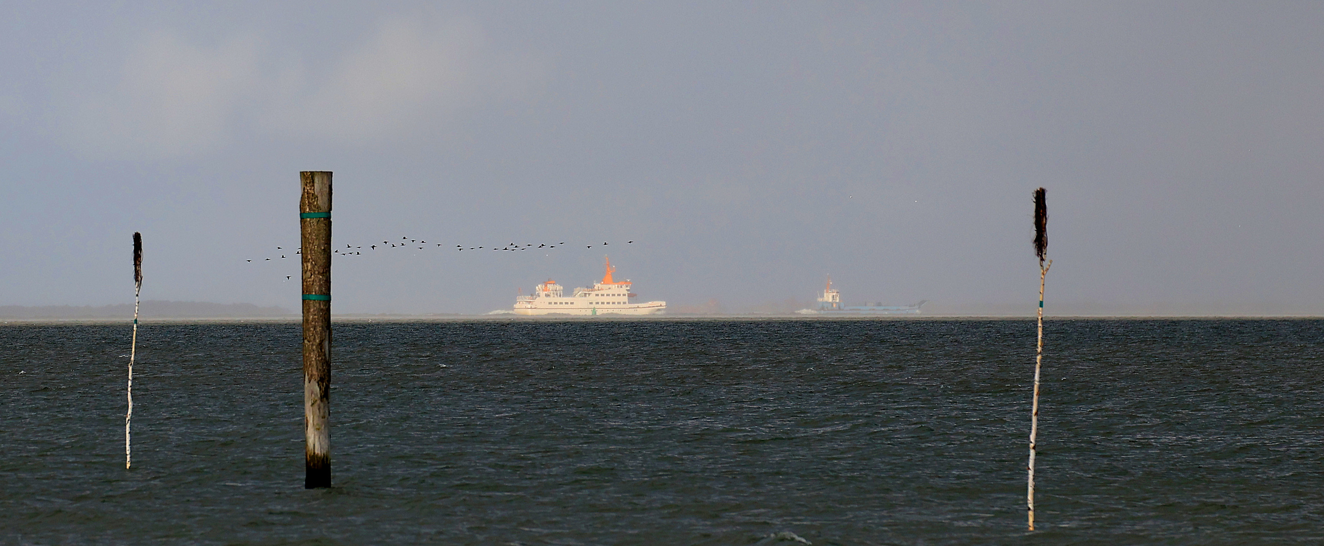 vor Langeoog im Wattenmeer