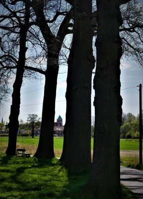 Vor lauter Halloween - Es ist auch Reformationstag