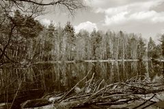 Vor lauter Spiegelung sieht man kein Wasser mehr