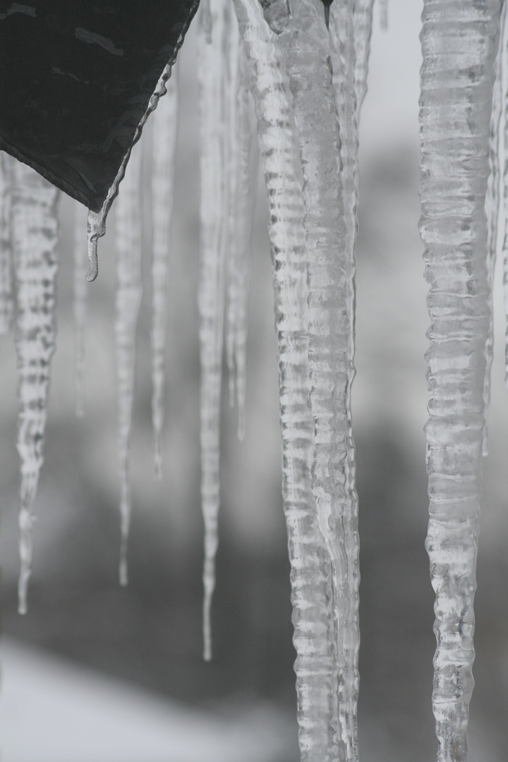 vor meinem Fenster hängende Eiszapfen