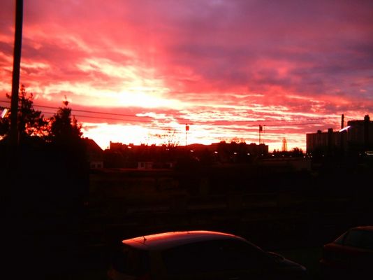 vor meinem fenster in wien