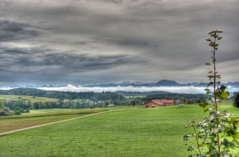 Vor meiner Haustür