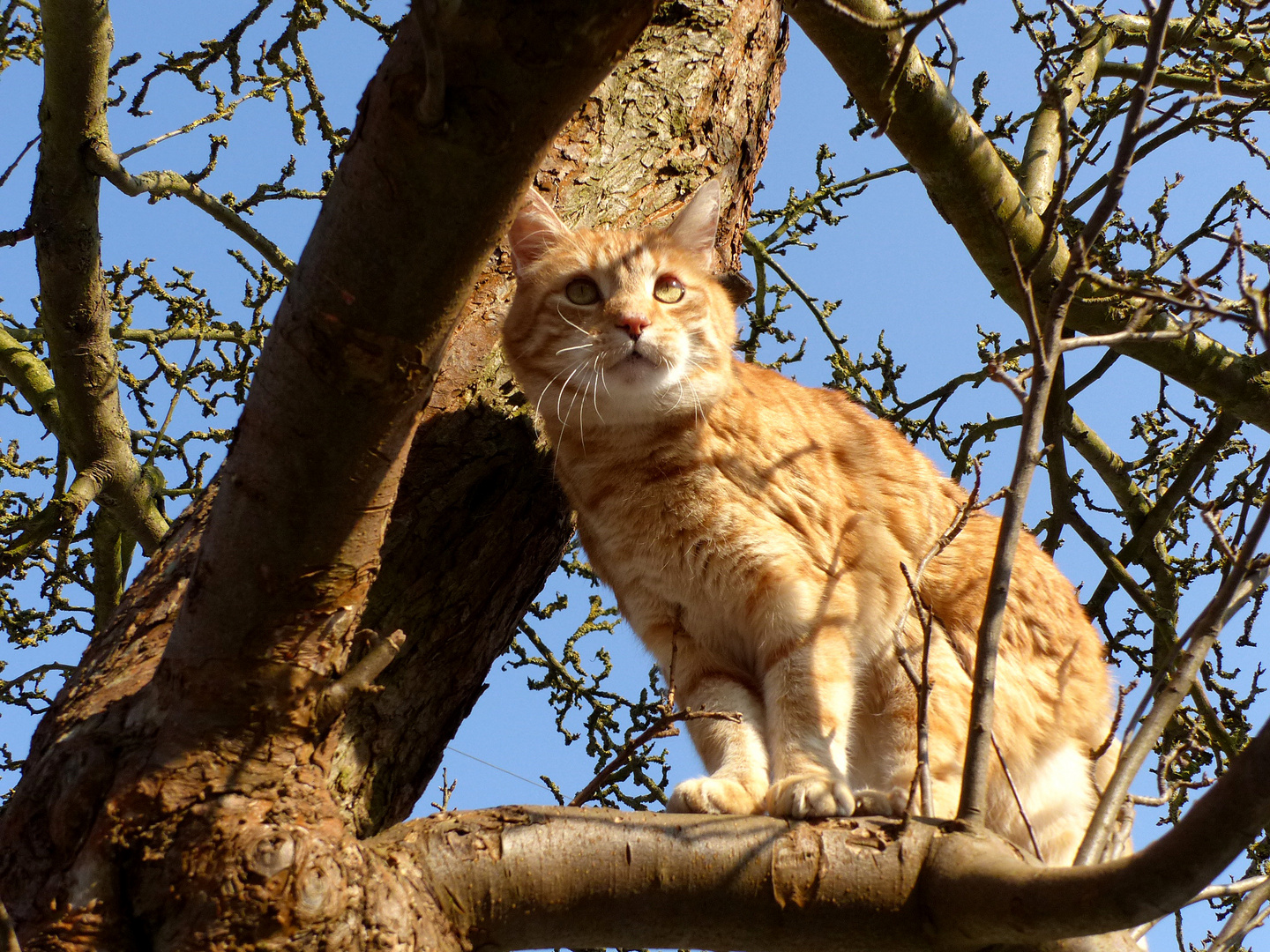 „Vor Nadines Kamera ist man selbst im Baum nicht sicher.