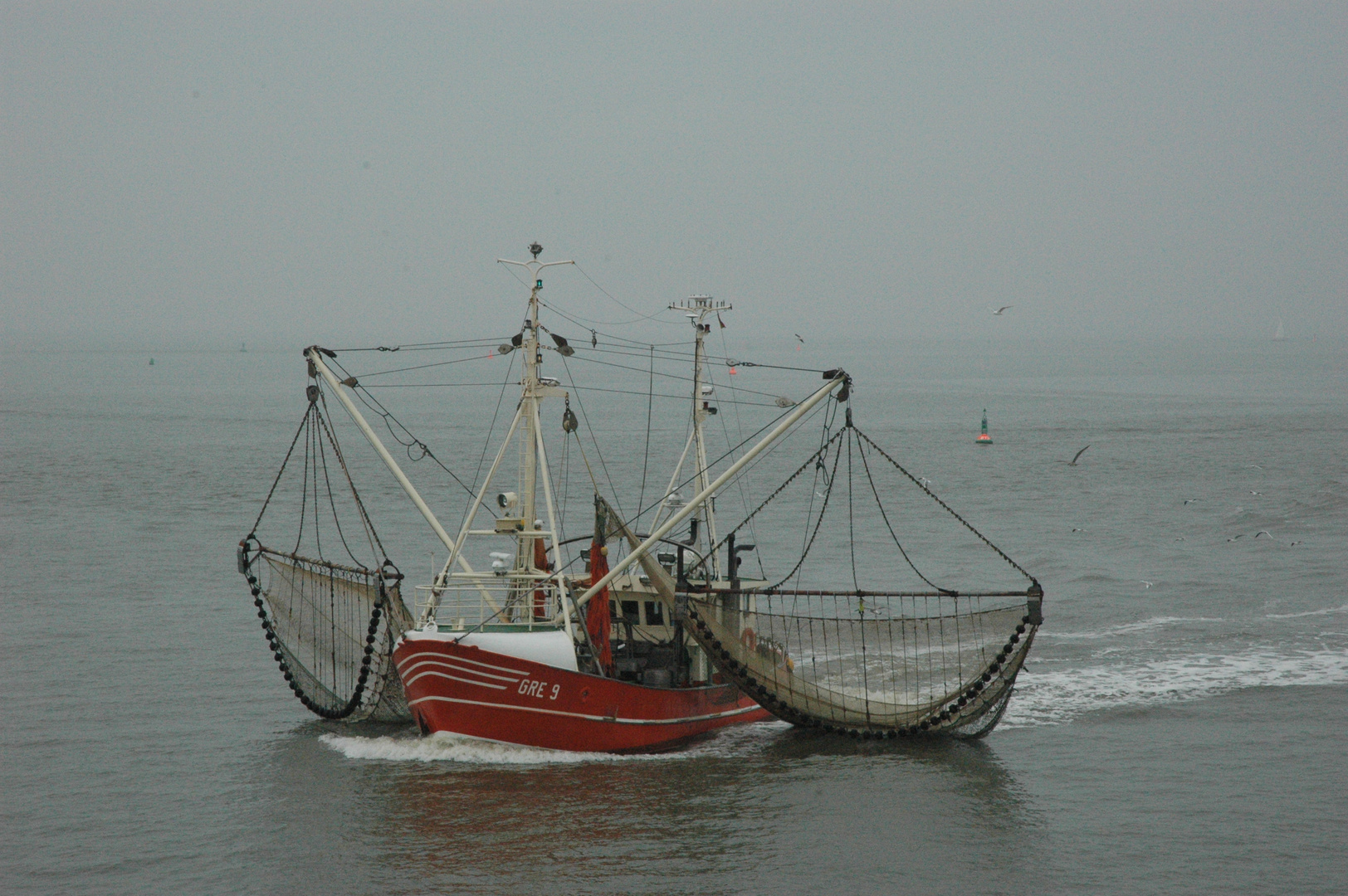 Vor Norderney (3)