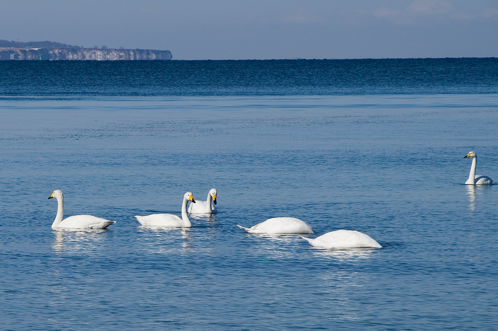 Vor Ostern an der Ostsee bei Wismar