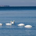 Vor Ostern an der Ostsee bei Wismar