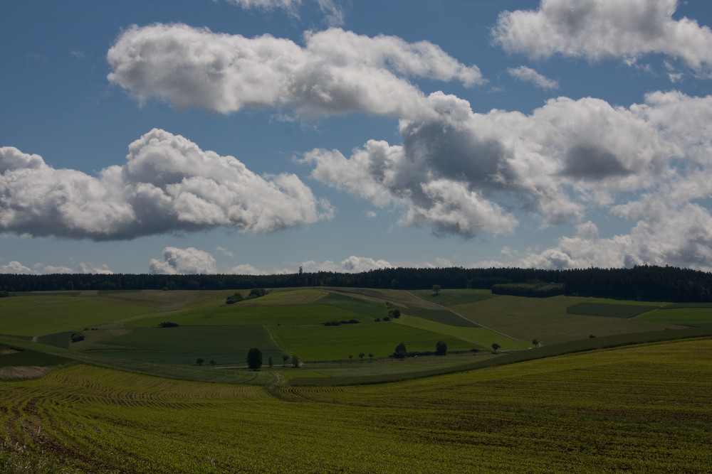 Vor Riedöschingen