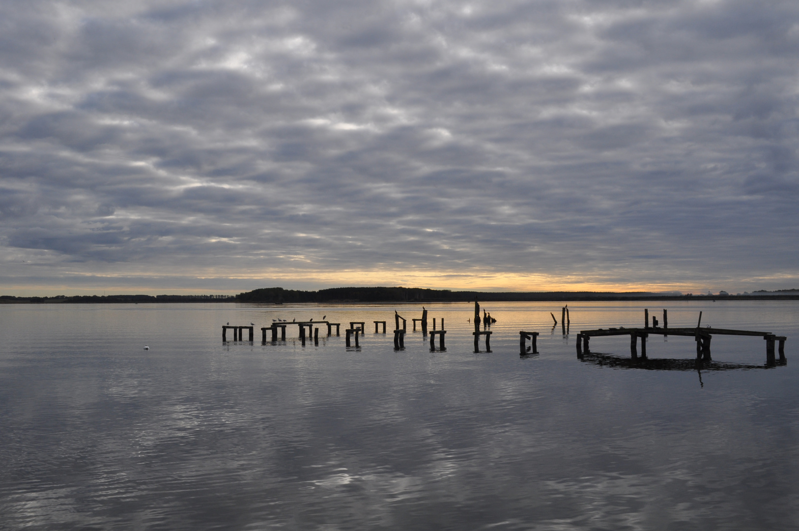 vor Rügen