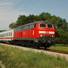 (Vor-) Sommer an der Rottalbahn