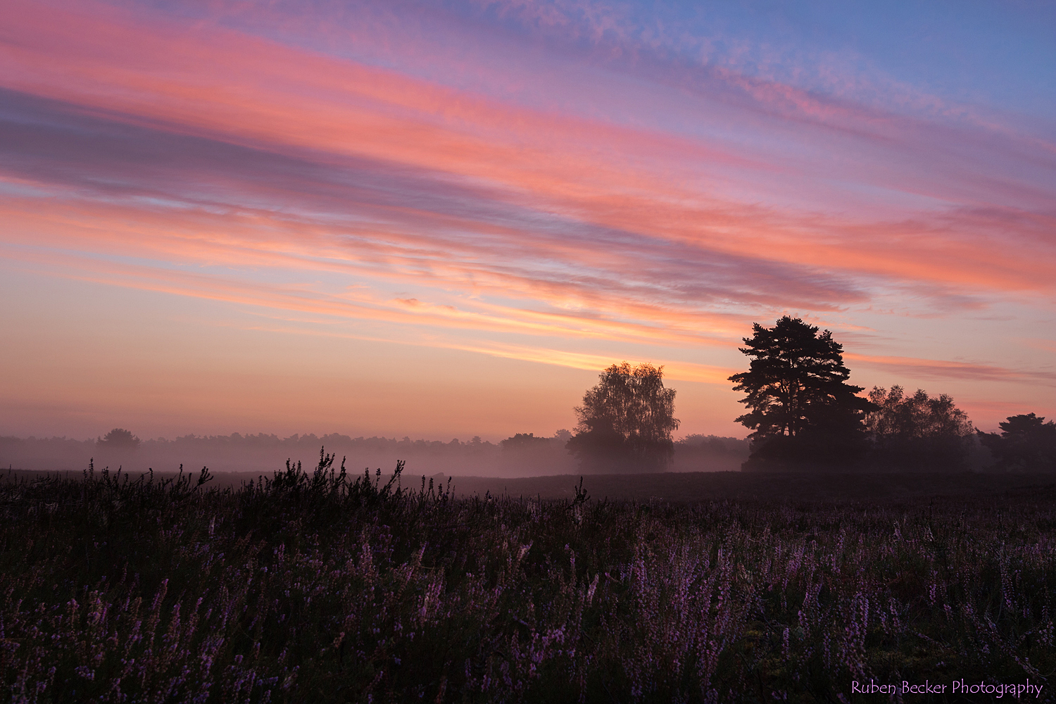 Vor Sonnenaufgang