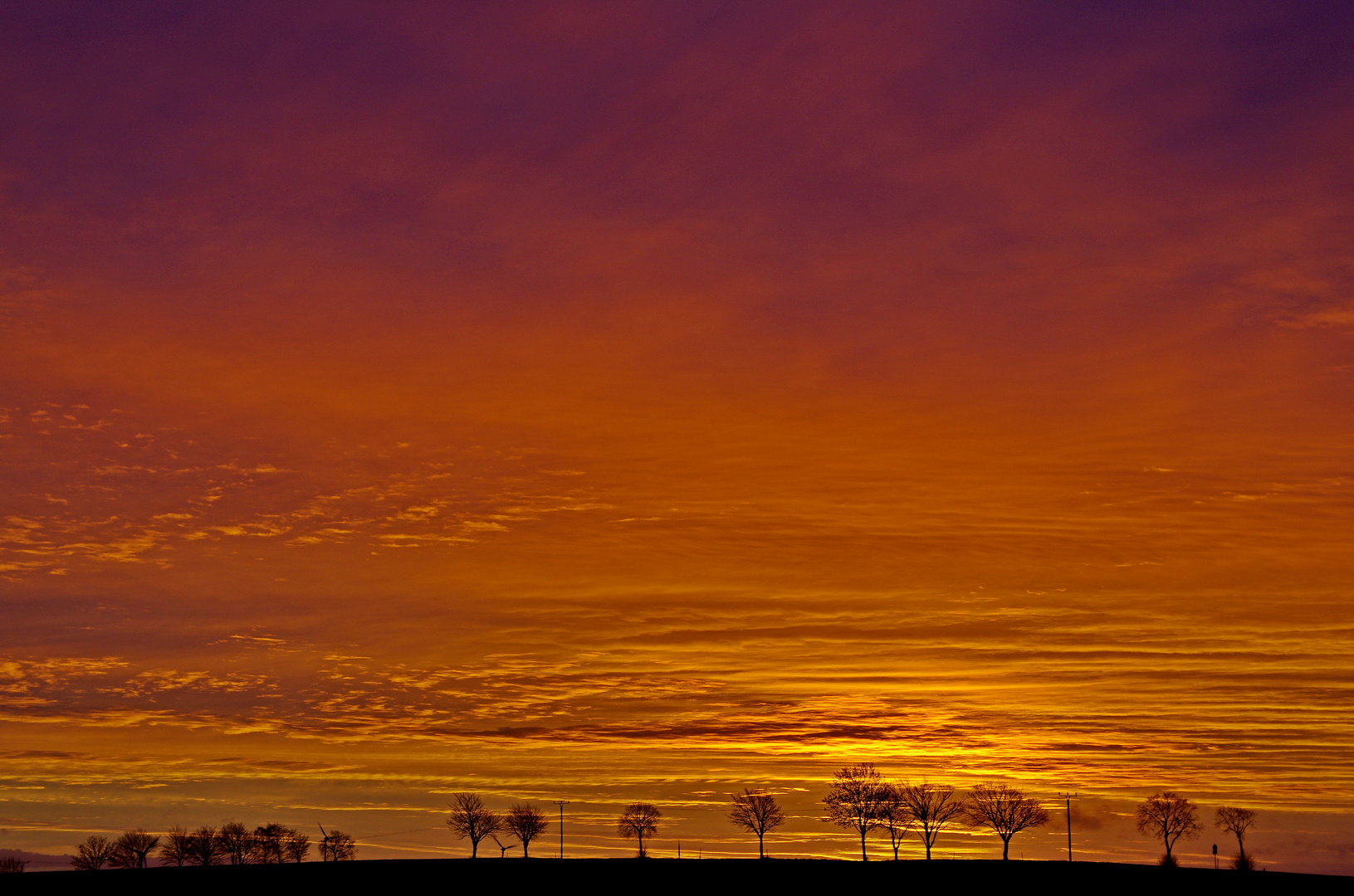 Vor Sonnenaufgang 31.1.16