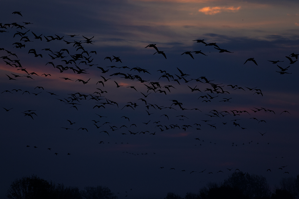 vor sonnenaufgang