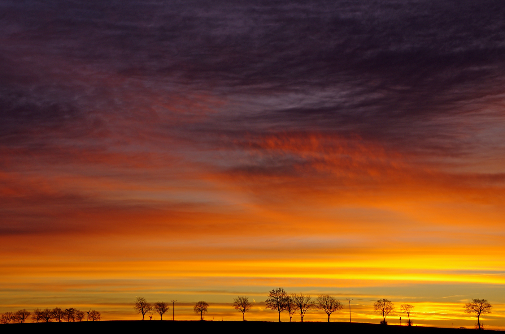 Vor Sonnenaufgang 5.12.15