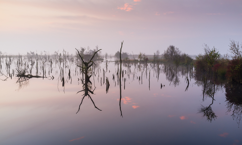 vor Sonnenaufgang