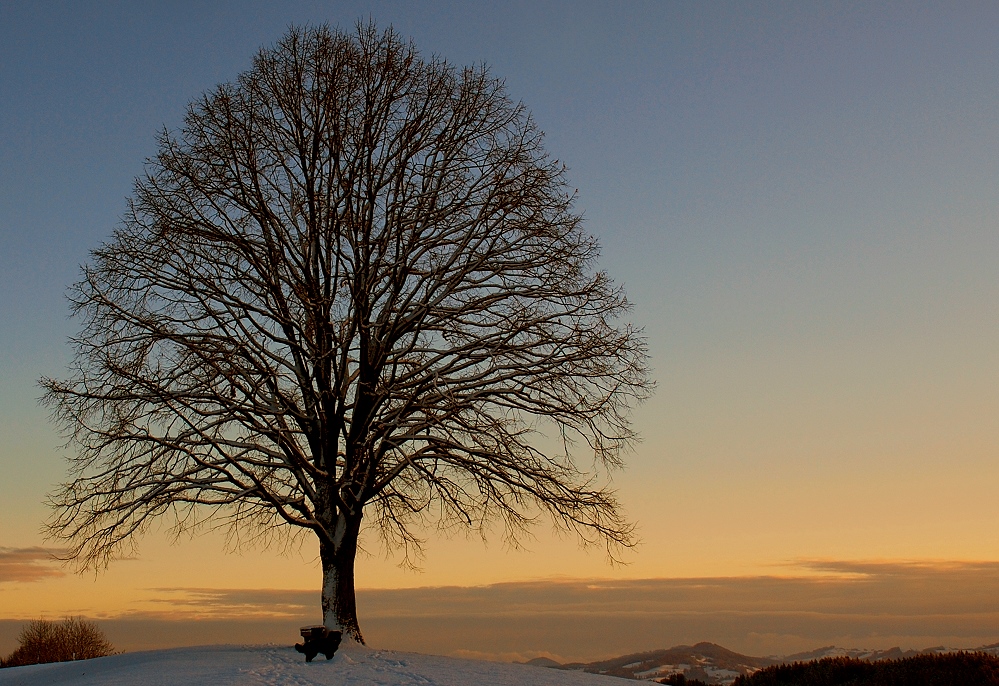 vor Sonnenaufgang