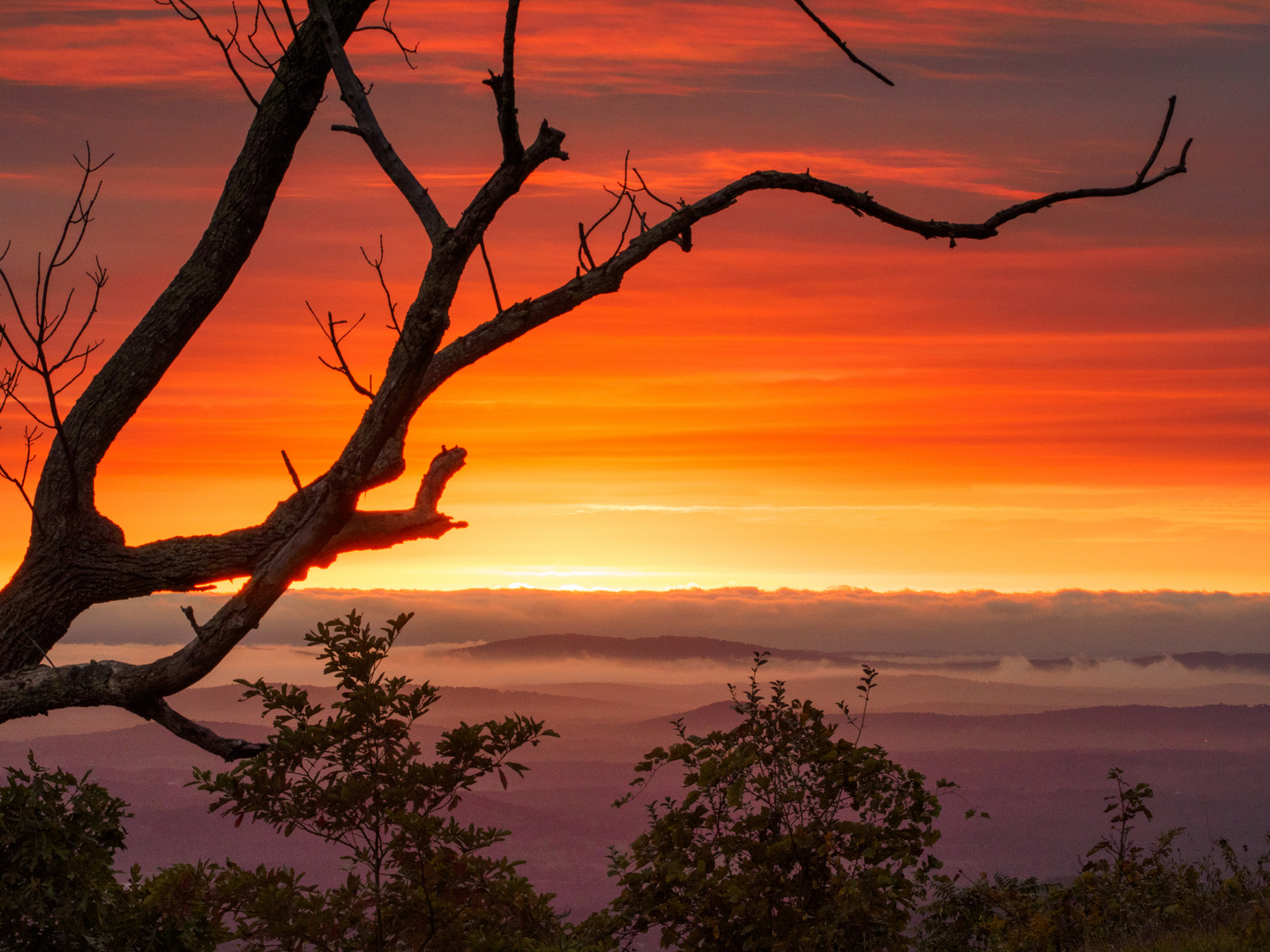 Vor Sonnenaufgang