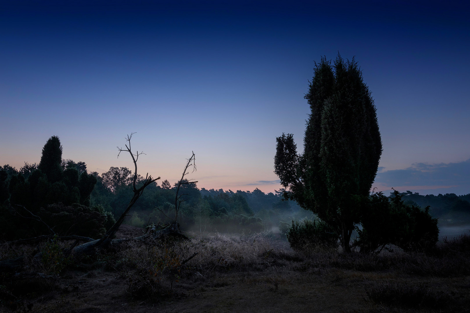 Vor Sonnenaufgang