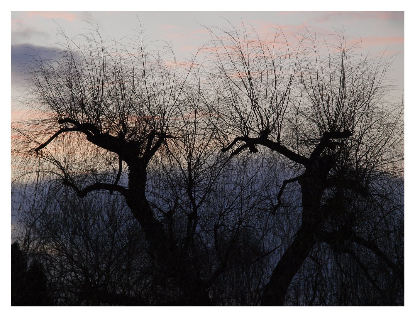 Vor Sonnenaufgang