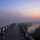 vor Sonnenaufgang am Federsee