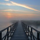 vor Sonnenaufgang am Federsee 