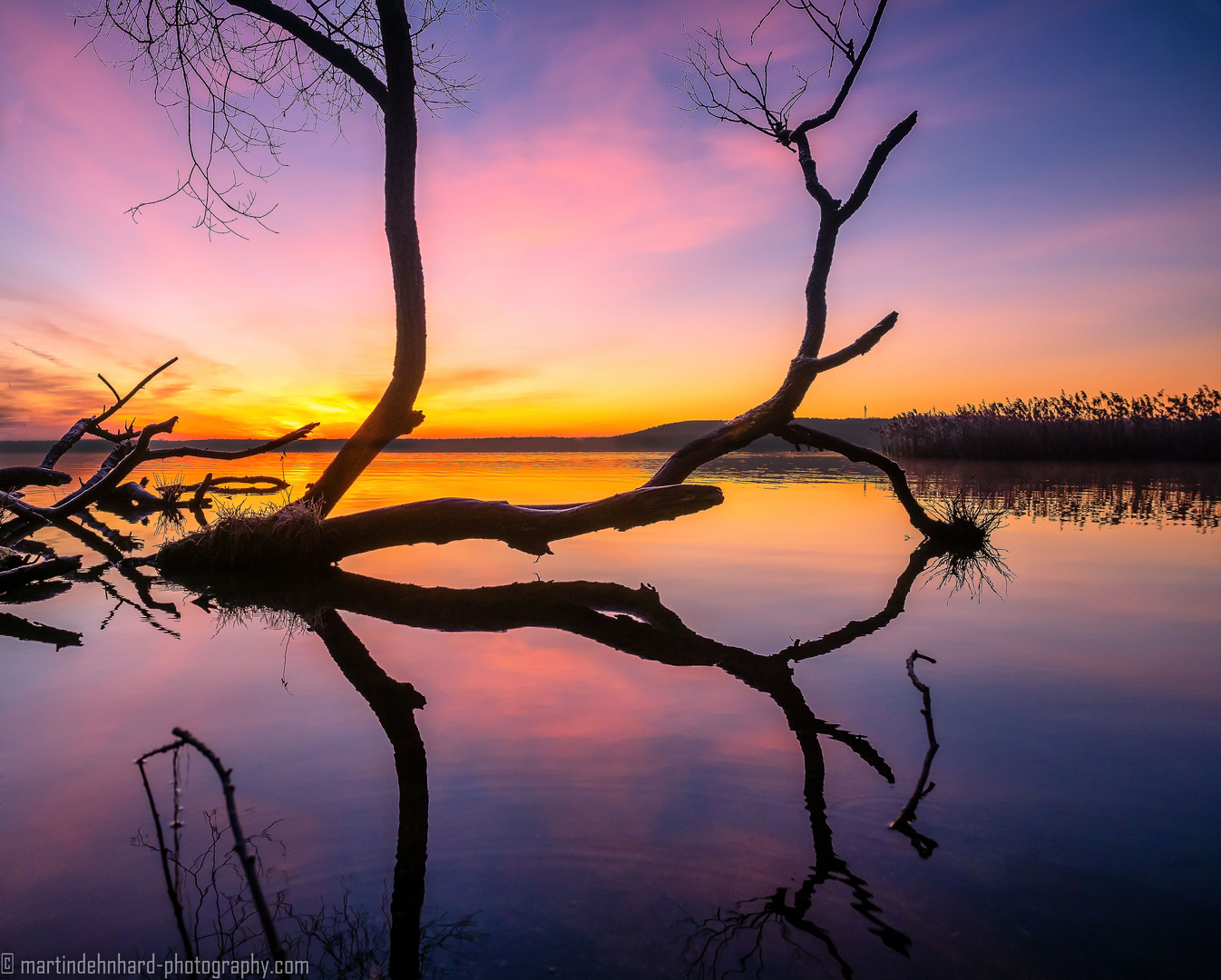 Vor Sonnenaufgang am Müggelsee