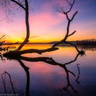 Vor Sonnenaufgang am Müggelsee