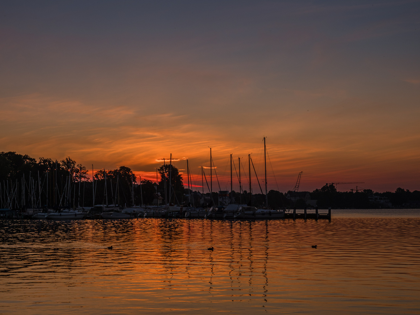 Vor Sonnenaufgang am Müggelsee