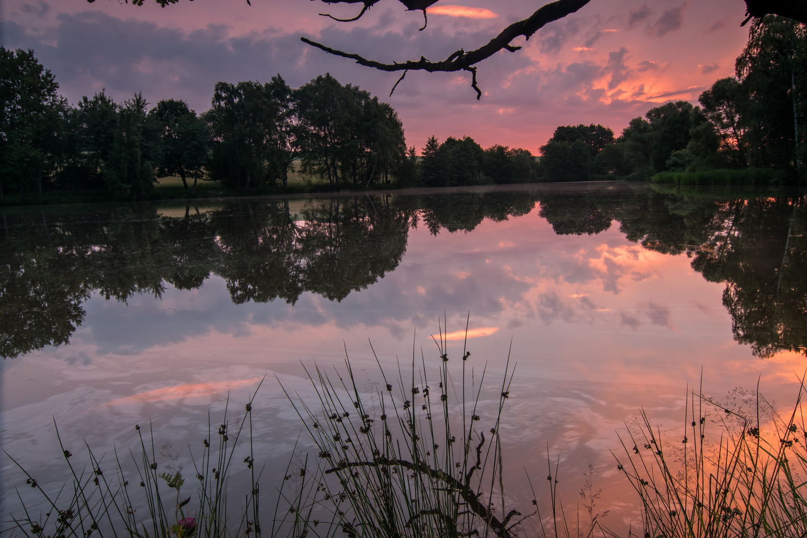 Vor Sonnenaufgang am Teich Foto & Bild landschaft, bach, fluss & see