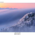 Vor Sonnenaufgang auf den Schweizer Jurahöhen