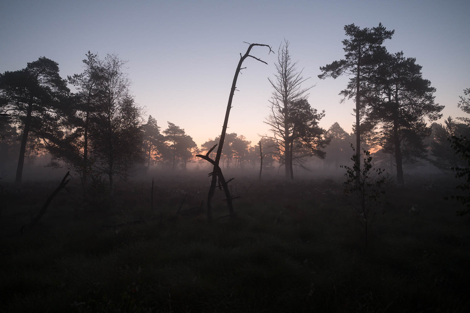 vor Sonnenaufgang