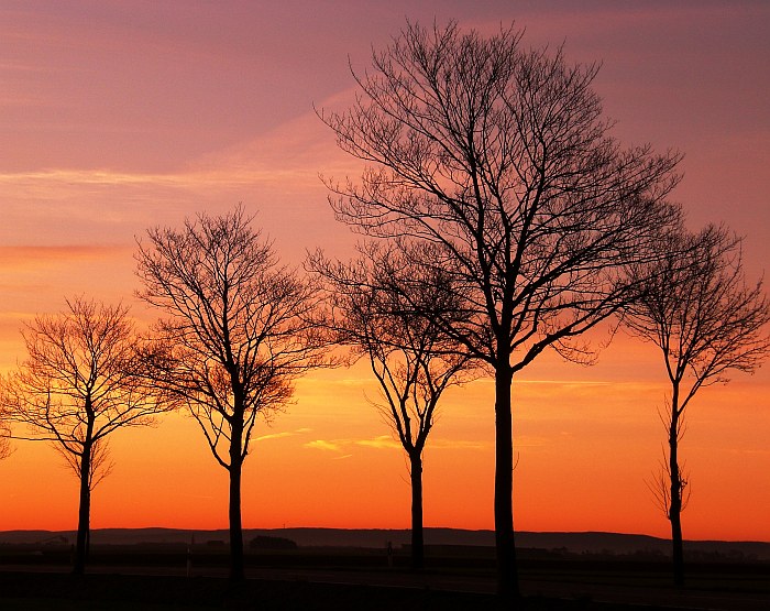 Vor Sonnenaufgang