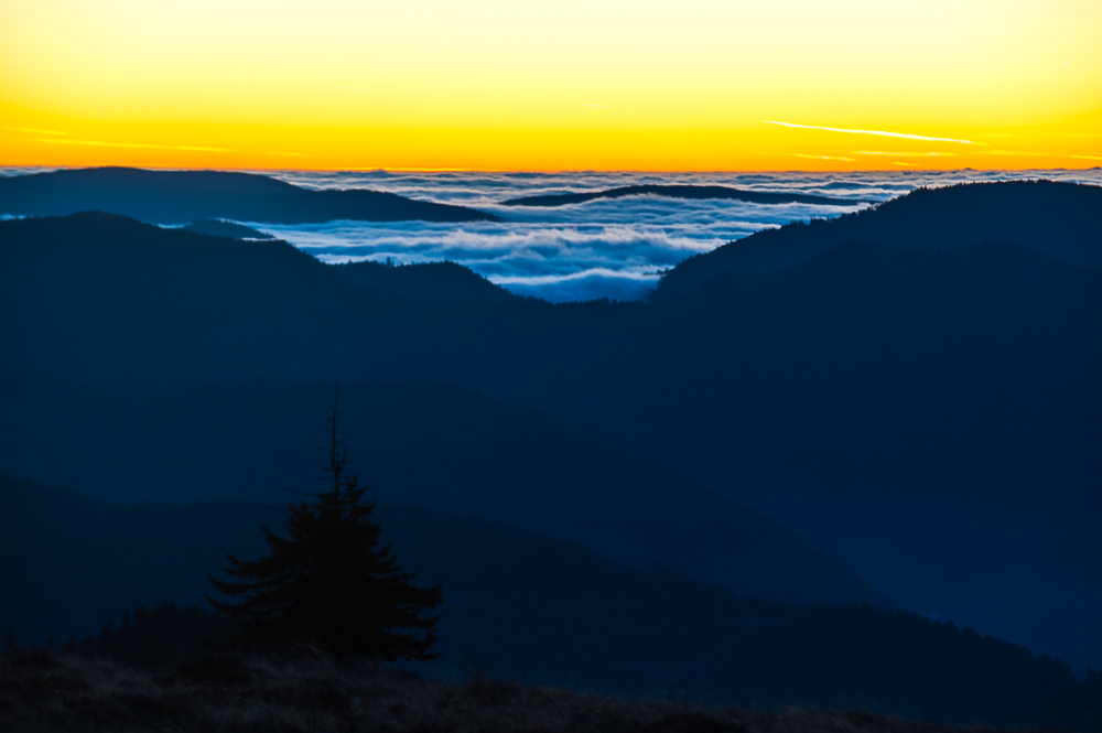 Vor Sonnenaufgang