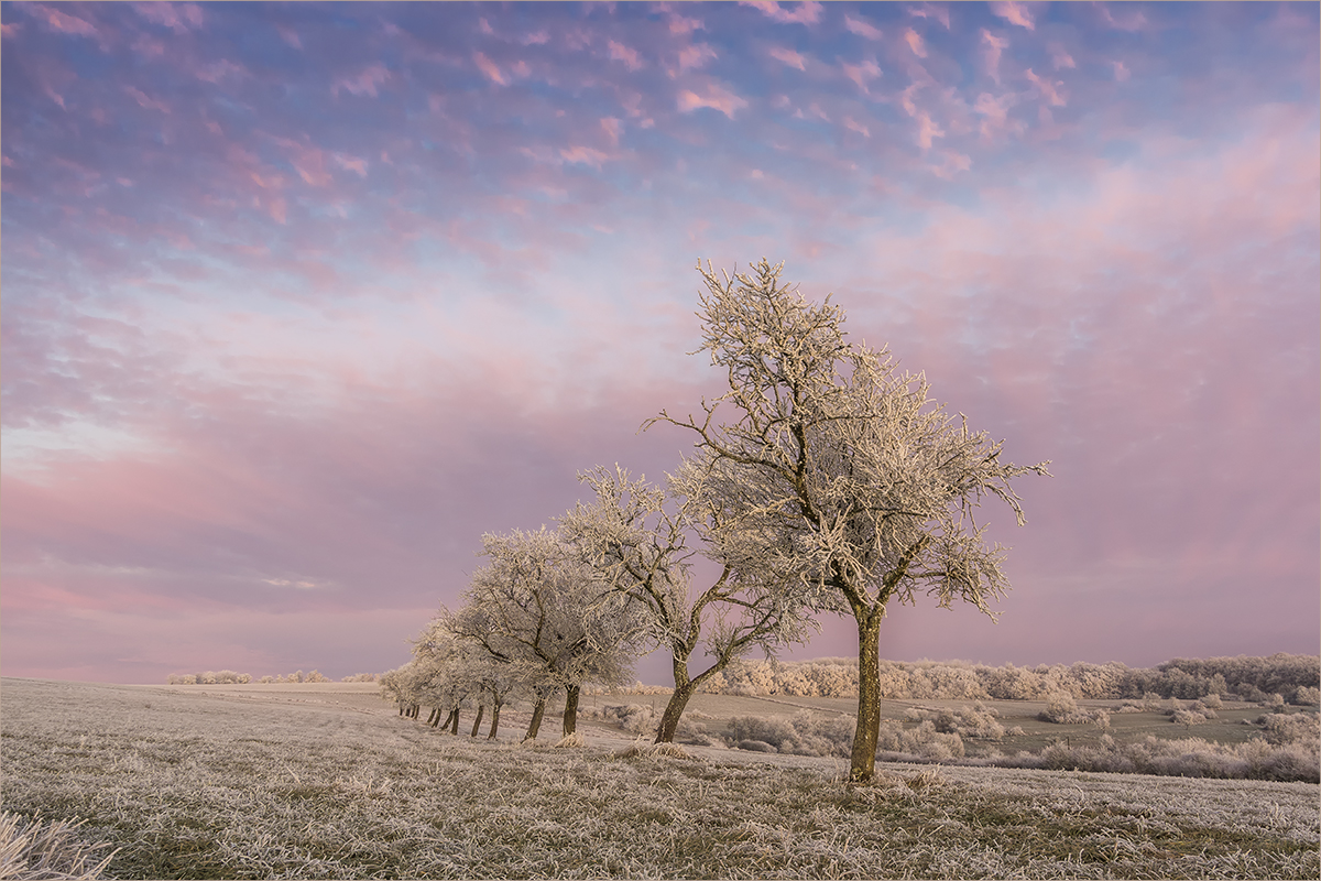 vor sonnenaufgang