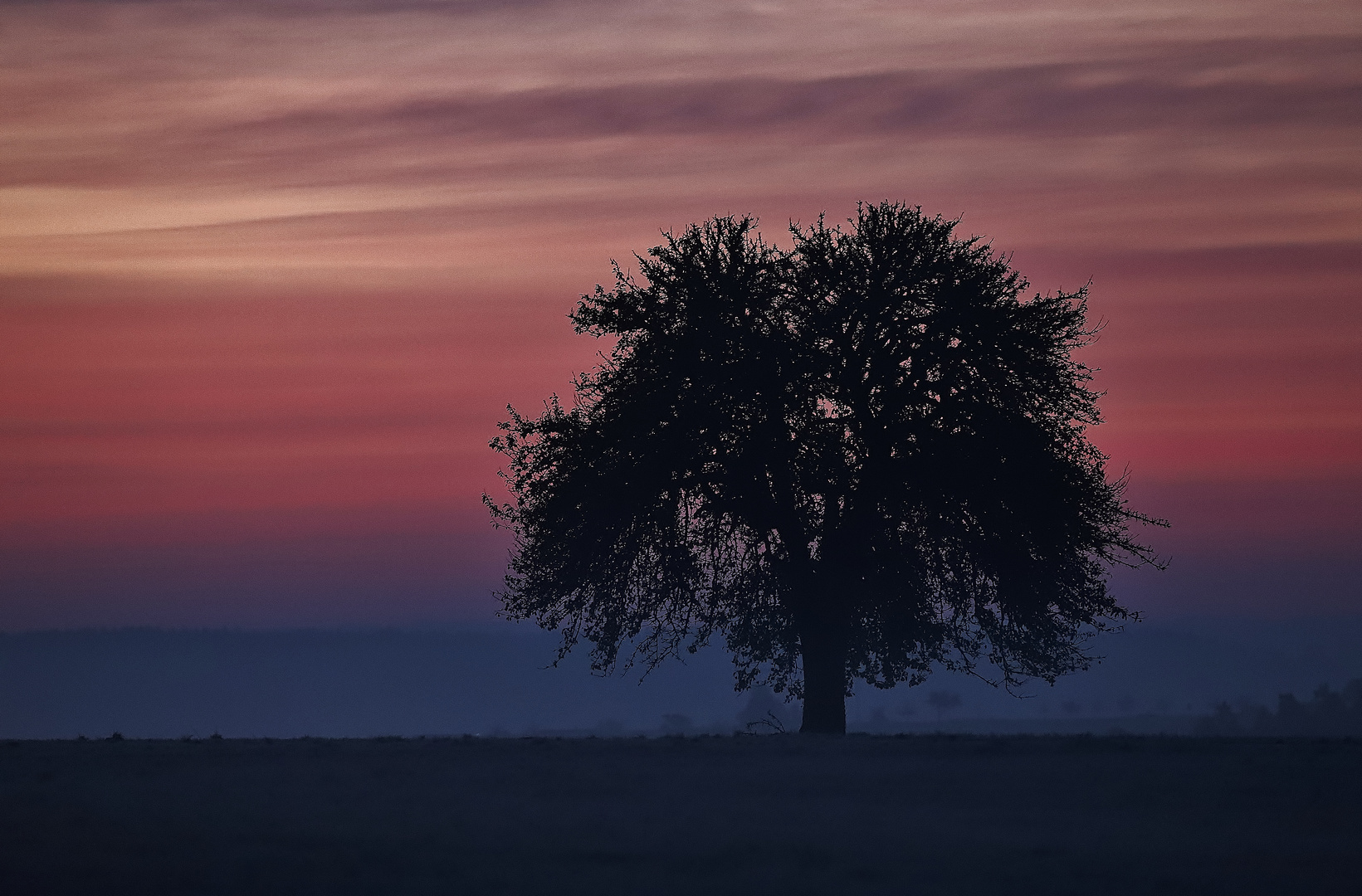 Vor Sonnenaufgang/ frostiger Morgen