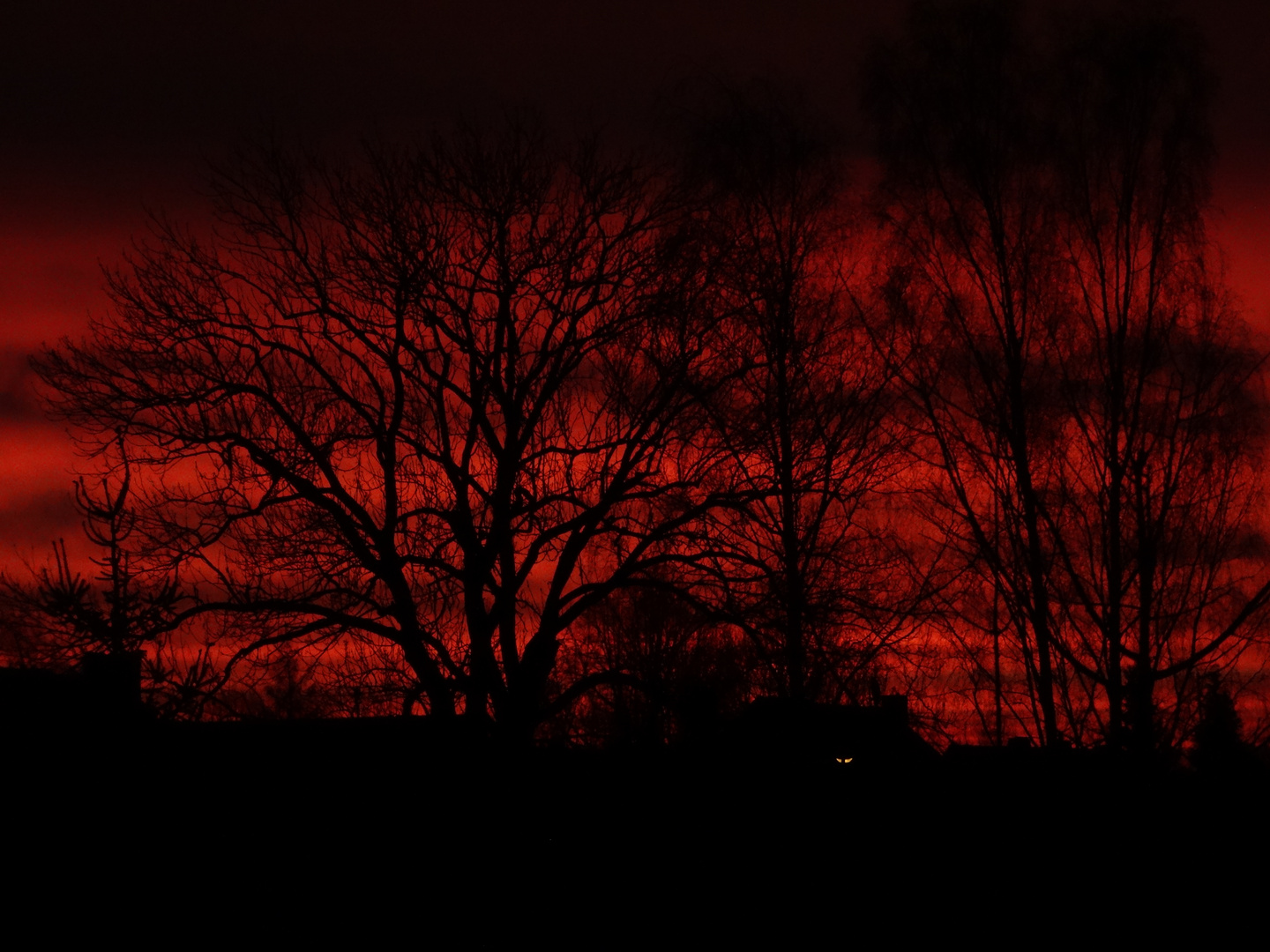 Vor Sonnenaufgang heute morgen...