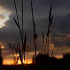 Vor Sonnenaufgang im Allgäu