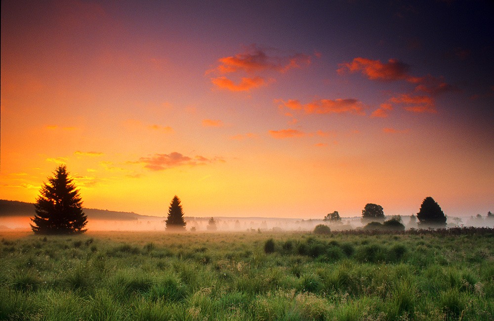 Vor Sonnenaufgang im Hohen Venn