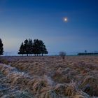 Vor Sonnenaufgang im Hohen Venn