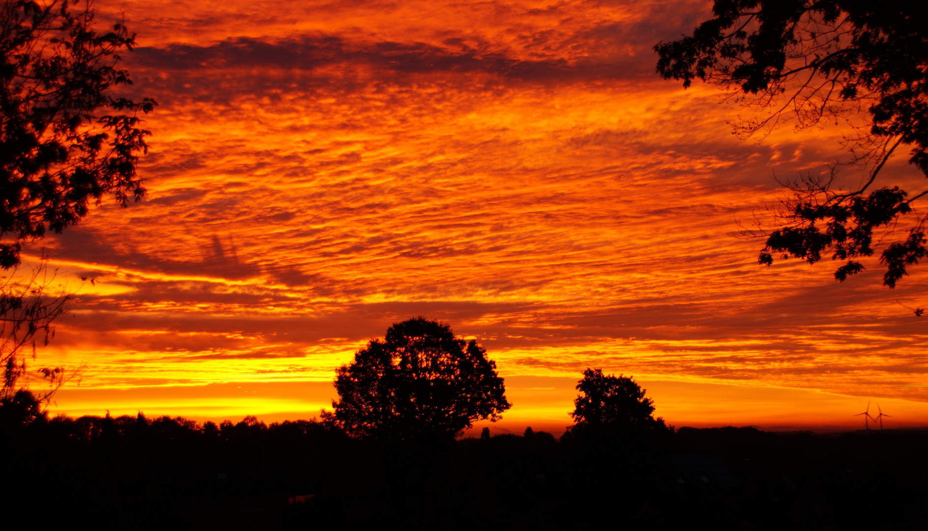 Vor Sonnenaufgang im Münsterland