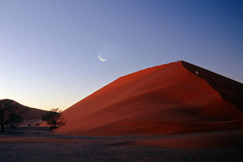 Vor Sonnenaufgang im Sossusvlei