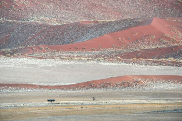 Vor Sonnenaufgang - Just before sunrise